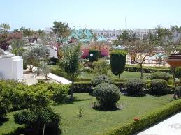 Екскурзии, Ваканции и Почивки в Сафага - Египет | BulTravel