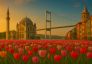 Истанбул в лалета🌷 – пролетна приказка край Босфора 5 дни / 3 нощувки  и 🎁 Всеки 6-ти пътува безплатно! + Подарък: Парк Емирган и Mall Florya Mall & Aquarium