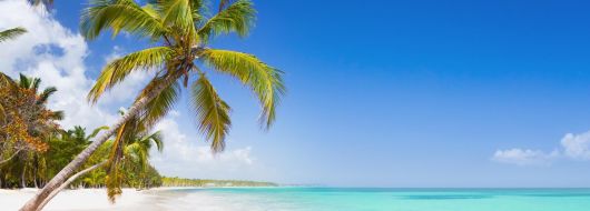 Доминикана - Карибска мечта с вкус на ром и слънце! 9 дни/ 7 нощувки на база All Inclusive