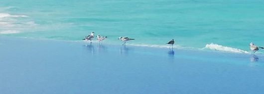 Почивка в Дидим със собствен транспорт