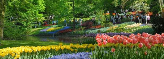 Белгия - Нидерландия - Люксембург