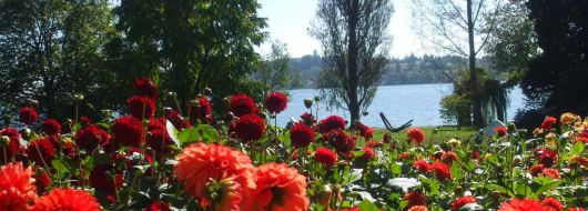 Бодензее - Баварски замъци - Залцбург - Мюнхен