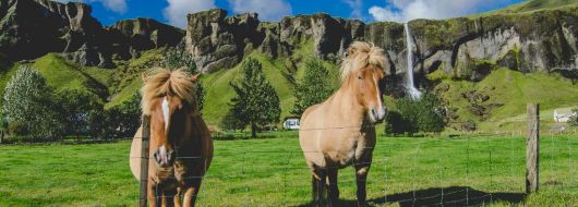 Исландия - страната на елфите, троловете и северното сияние - октомври 2026