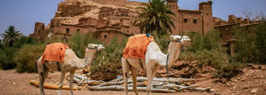 Мароко - Имперски тур