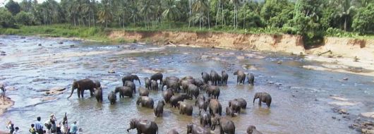 Шри Ланка от Варна