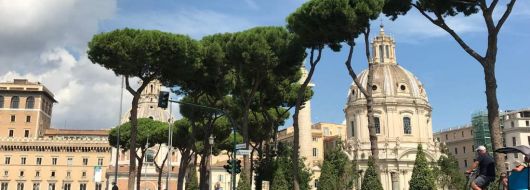 Цяла Италия