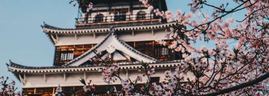 Величието на Япония по време на цъфтежа на вишните - вариант 1