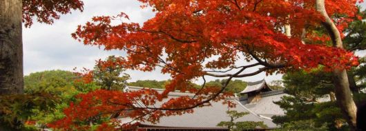 Величието на Япония - септември 2026