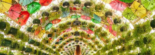 Контрастите на Катар в прегръдката на пустинята и блясъка на Доха от Варна