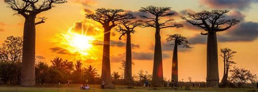 Мадагаскар и Мавриций - Едно вълнуващо пътешествие до двата екзотични острова през от София - 2026