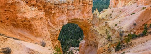 САЩ – ЗАПАДНА ИСТОРИЯ