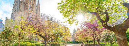 КАТАЛУНИЯ – МАГИЯ И АВТЕНТИЧНОСТ