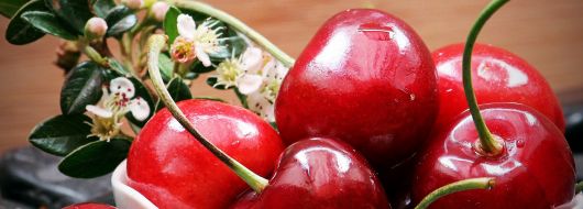 Фестивала на черешата в Текирда