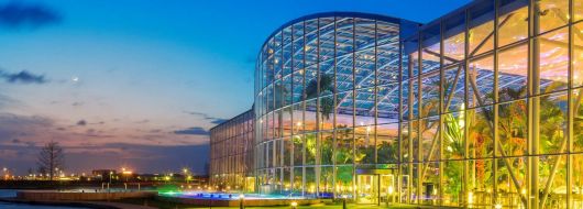 СПА Уикенд - Термите на Букурещ