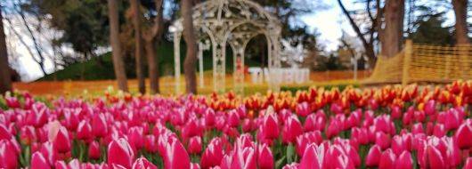 Фестивалът на лалето в Истанбул, 3 нощувки