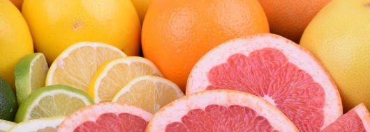 Фестивала на цитрусите в Ментон и блясъка на Френската ривиера