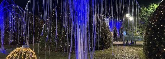 Вълшебен коледен уикенд в Крайова - Рамада Плаза 4*