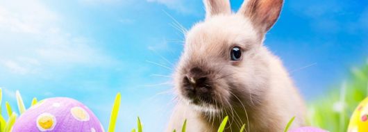 Почивка в ИСПАНИЯ - Великден на Коста дел Сол