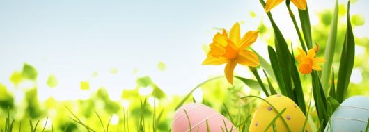 Почивка в ИСПАНИЯ - Великден в Палма де Майорка