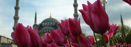 Фестивал на лалетата - Истанбул, 3 нощувки от Варна и Бургас