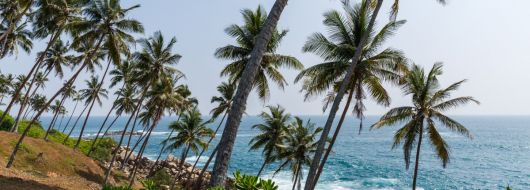 Екскурзия в ШРИ ЛАНКА - класически тур и почивка, с водач от България!