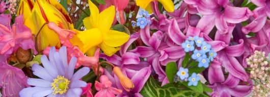 Почивка в ИСПАНИЯ - Коста Брава - със самолет, на български език! Директен полет от ВАРНА!