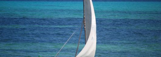 Следпразнична почивка на о-в Занзибар, група с водач, 23.01.2026г.