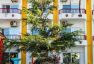 Canary Golden Hotel