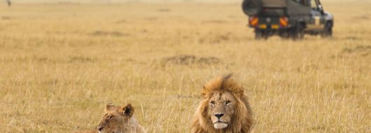 Май с Усмивката на Кения, 01-10.5.26г, сафари в Масай Мара и плаж на Диани