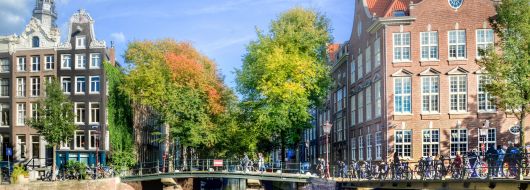 БЕНЕЛЮКС - аромат на шоколад и ухание на лалета!