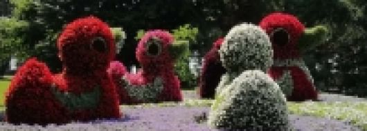 ГЕРМАНИЯ - долината на река Рейн – комбинирано пътуване със самолет и автобус!