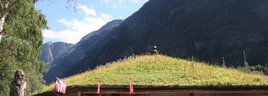 ТВОЯТА СКАНДИНАВИЯ - четирите скандинавски столици и фиордите. Обиколен тур на български език