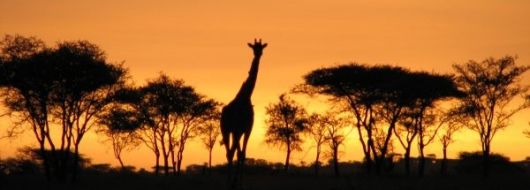 ЮЖНА АФРИКА и ЗИМБАБВЕ - I вар. 03.04.2026, 08.05.2026, 11.09.2026, 16.10.2026, 06.11.2026, 02.12.2026