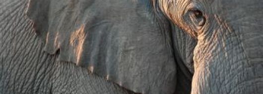 ЮАР, ЗИМБАБВЕ с водопада ВИКТОРИЯ, БОТСВАНА, НАМИБИЯ -ОФОРМЕНА ГРУПА!  04.10.2026