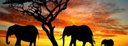 ЮЖНА АФРИКА и ЗИМБАБВЕ - II вар. 03.04.2026, 08.05.2026, 11.09.2026, 16.10.2026, 06.11.2026, 02.12.2026