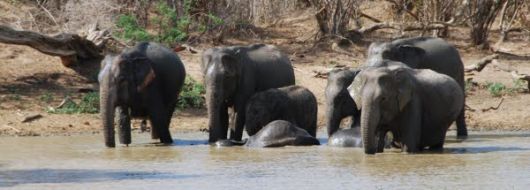 ШРИ ЛАНКА и МАЛДИВИ -  ОФОРМЕНА ГРУПА  13.09.2026