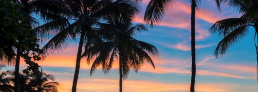 ХАВАИ  19.04.2026, 22.05.2026, 04.09.2026, 02.10.2026