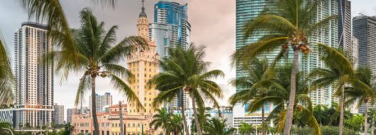 САЩ - МАЯМИ 03.07.2026, 31.07.2026