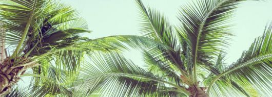 Круиз „Карибски хоризонти- Море, слънце и мечти“- ОФОРМЕНА ГРУПА! - 27.11.2026