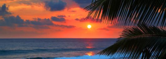 ХАВАИ 03.07.2026, 31.07.2026