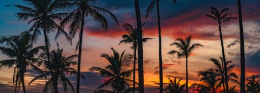 САЩ - Западно крайбрежие 09.04.2026, 12.05.2026, 23.06.2026, 22.09.2026