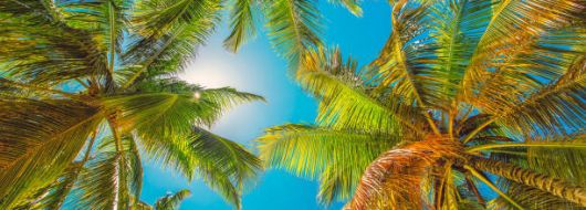 ШРИ ЛАНКА и МАЛДИВИ 22.01.2027