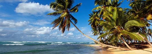 САЩ - МАЯМИ С КРУИЗ ПО БАХАМИТЕ 03.07.2026, 31.07.2026