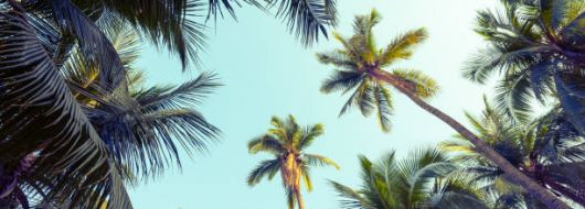 САЩ - Източно и Западно крайбрежиe, с круиз по Бахамите 12.06.2026, 11.09.2026