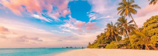 САЩ - МАЯМИ С КРУИЗ ПО БАХАМИТЕ  19.04.2026, 22.05.2026, 03.09.2026, 02.10.2026