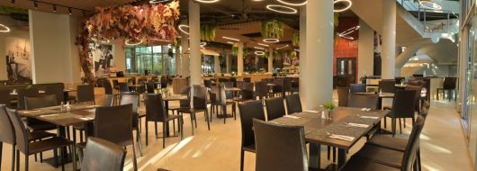 Почивка в хотел СХ ДОЛЧЕ МАРЕ 4*, ЗЛАТНИ ПЯСЪЦИ - СХ ДОЛЧЕ МАРЕ **** +ПЛАЖ