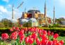 Фестивал на лалетата в Истанбул, Турция с автобус от Варна - 3 нощувки