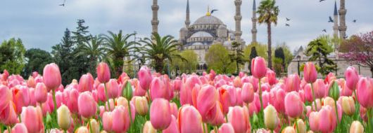 Великден в Истанбул - Фестивал на лалетата с автобус от София - 3 нощувки