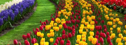 Великден в Истанбул, Турция - Фестивал на лалетата с автобус от Варна - 3 нощувки