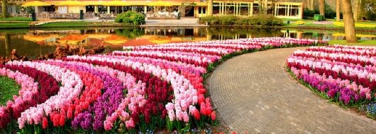 Великден в Истанбул, Турция - Фестивал на лалетата с автобус от Русе и Велико Търново - 3 нощувки